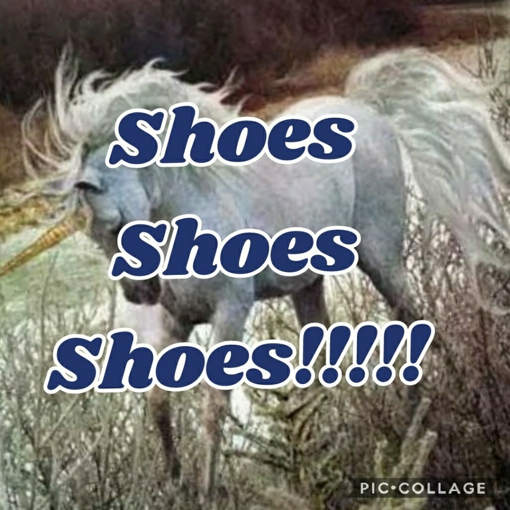 Shoes shoes and more shoes!